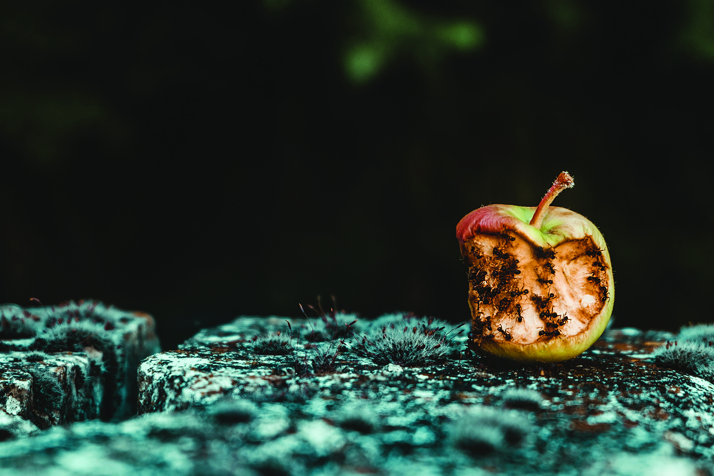 Råd til å håndtere negative tanker i meditasjonen
