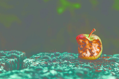 Råd til å håndtere negative tanker i meditasjonen