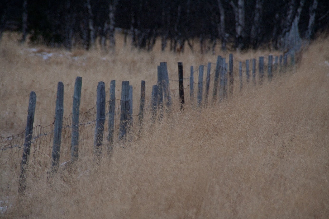Lunsjprat om stillhet 