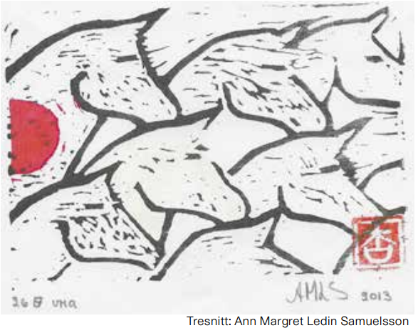 Leder- Ein hest utan namn